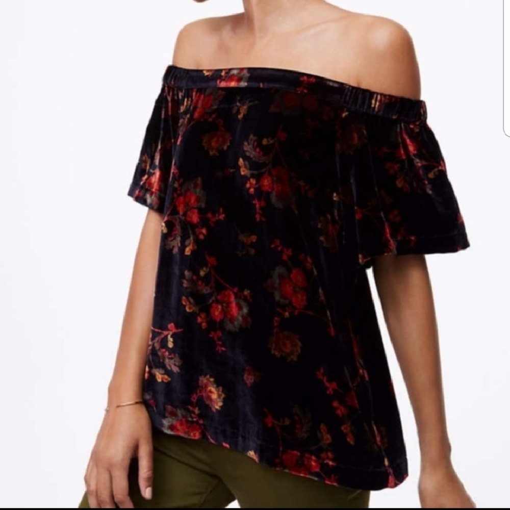 Loft Velvet Off the Shoulder Top